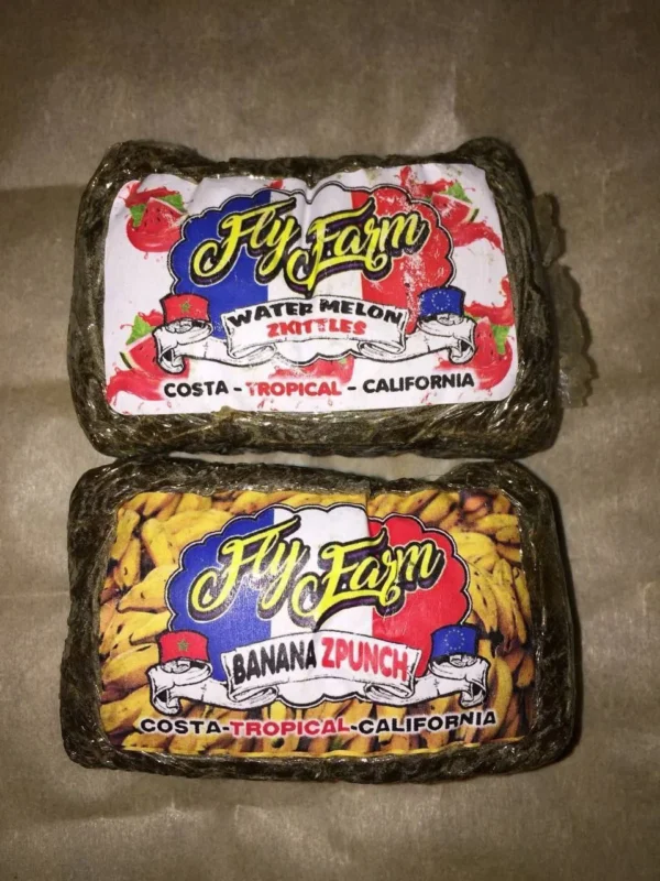 thc hash france