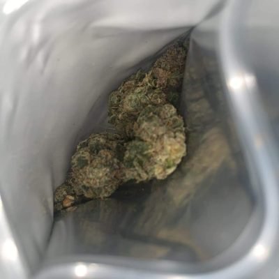 Buy Frostiez Joke’s Up | 40g