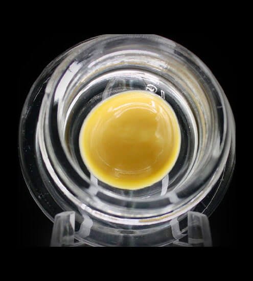 Beezle | 1g | Concentré  Badder | Hybrid | Cindy 99