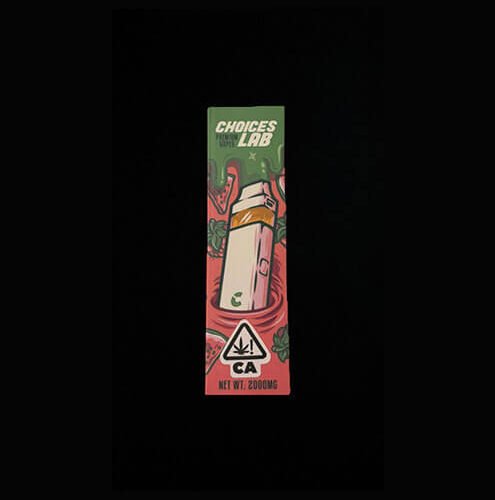 Choice Labs | Juicy Watermelon & Raspberry Cough | Dual Flavor Einweg Vape | 2G
