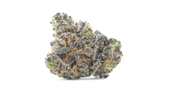 apple-fritter-bud-picture.webp Apple Fritter