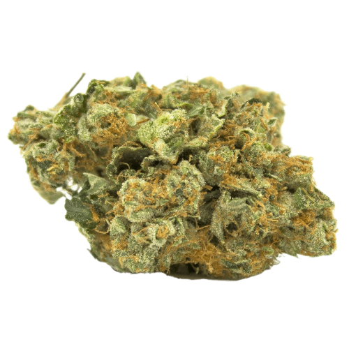 Tropicana Cherry | Premium Exotic Cannabis Flower