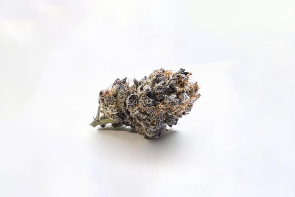 Girl Scout Cookies (GSC)