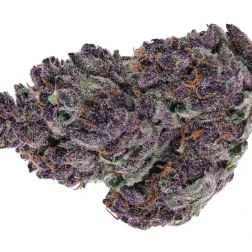 Grand daddy purple