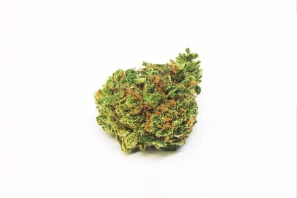 gushers-strain-picture-3.jpg Gushers