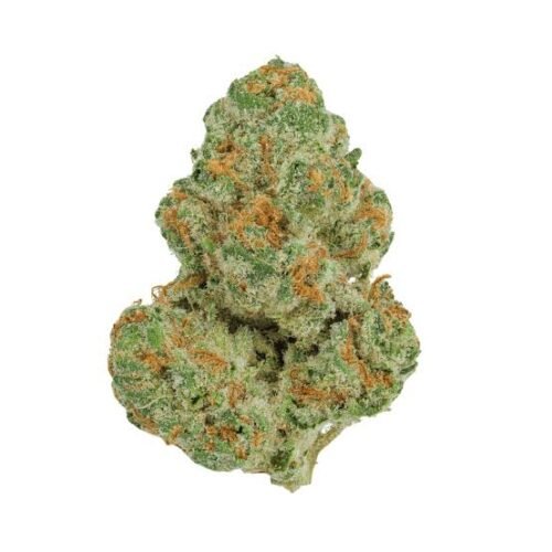 images (81) Gorilla Glue #4