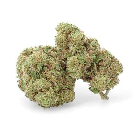 White Widow CBD