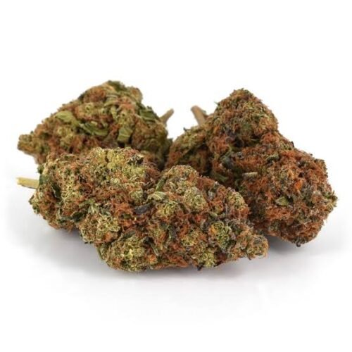 Girl Scout Cookies CBD
