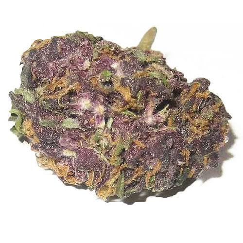 Grand daddy purple