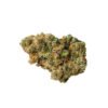 Jack Herer